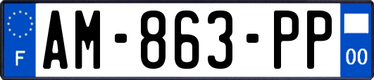 AM-863-PP