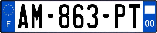AM-863-PT