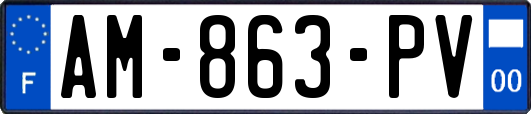 AM-863-PV