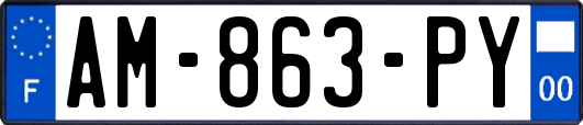 AM-863-PY