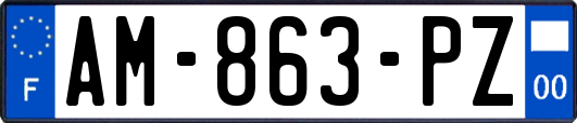 AM-863-PZ