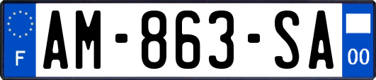AM-863-SA