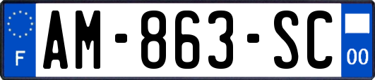 AM-863-SC