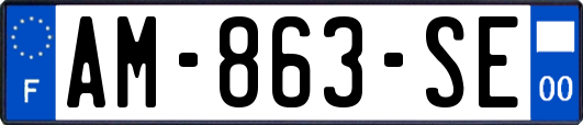 AM-863-SE
