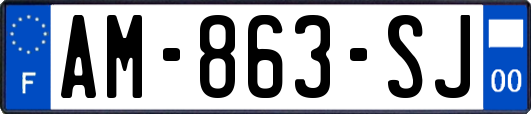AM-863-SJ