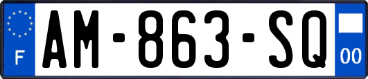 AM-863-SQ