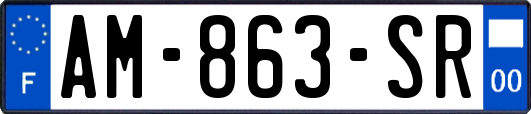 AM-863-SR