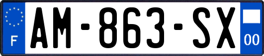 AM-863-SX