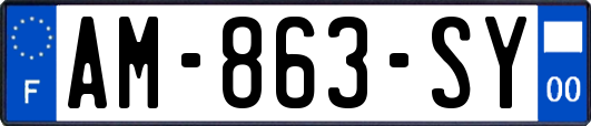AM-863-SY