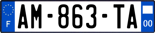 AM-863-TA