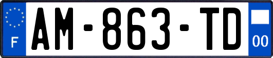 AM-863-TD