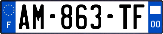AM-863-TF