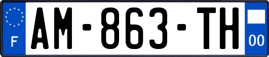 AM-863-TH