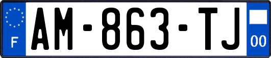 AM-863-TJ