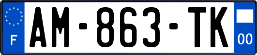 AM-863-TK