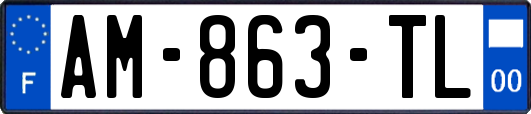 AM-863-TL