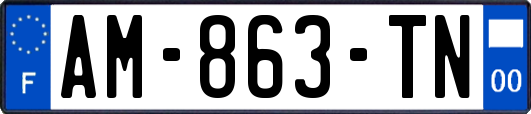 AM-863-TN