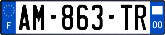 AM-863-TR