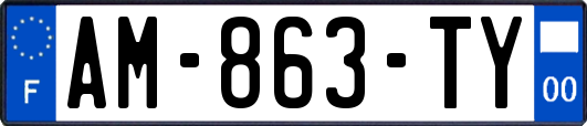 AM-863-TY