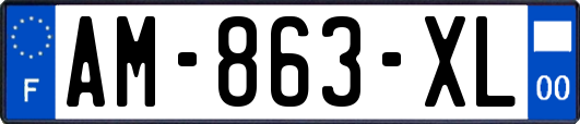 AM-863-XL