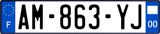 AM-863-YJ