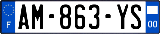 AM-863-YS