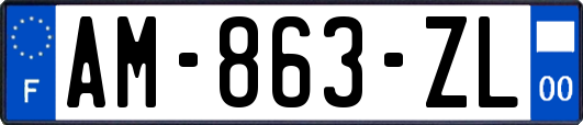 AM-863-ZL