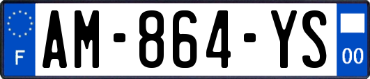 AM-864-YS