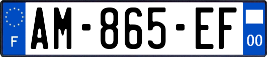 AM-865-EF