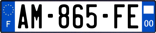 AM-865-FE