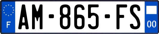 AM-865-FS