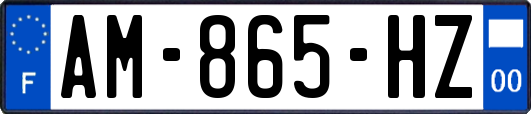 AM-865-HZ
