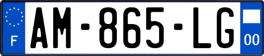 AM-865-LG