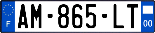AM-865-LT
