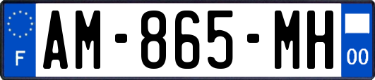 AM-865-MH