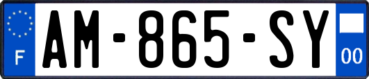 AM-865-SY
