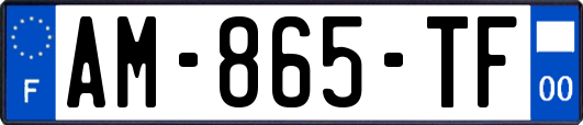 AM-865-TF