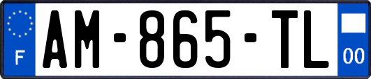 AM-865-TL