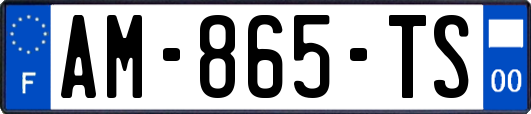 AM-865-TS