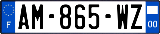 AM-865-WZ