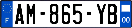 AM-865-YB
