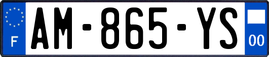 AM-865-YS