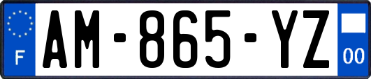 AM-865-YZ