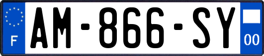 AM-866-SY