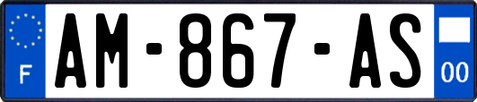 AM-867-AS