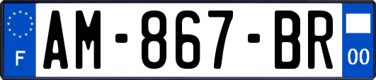 AM-867-BR