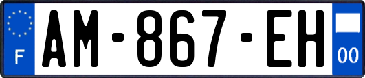 AM-867-EH