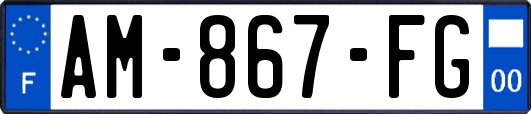 AM-867-FG