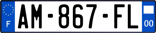 AM-867-FL