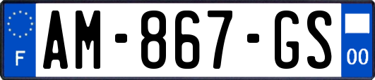 AM-867-GS